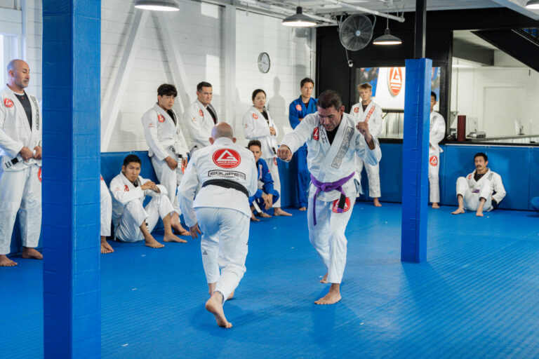 Training Jiu-Jitsu self defense